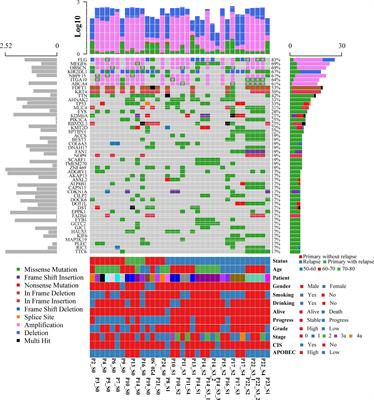 Bacillus Calmette–Guérin Treatment Changes the Tumor Microenvironment of Non-Muscle-Invasive Bladder Cancer